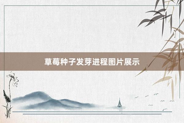 草莓种子发芽进程图片展示